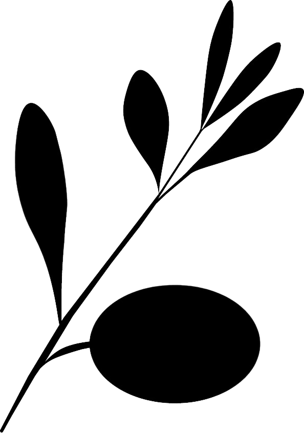 Olive Branch Digital logo in black